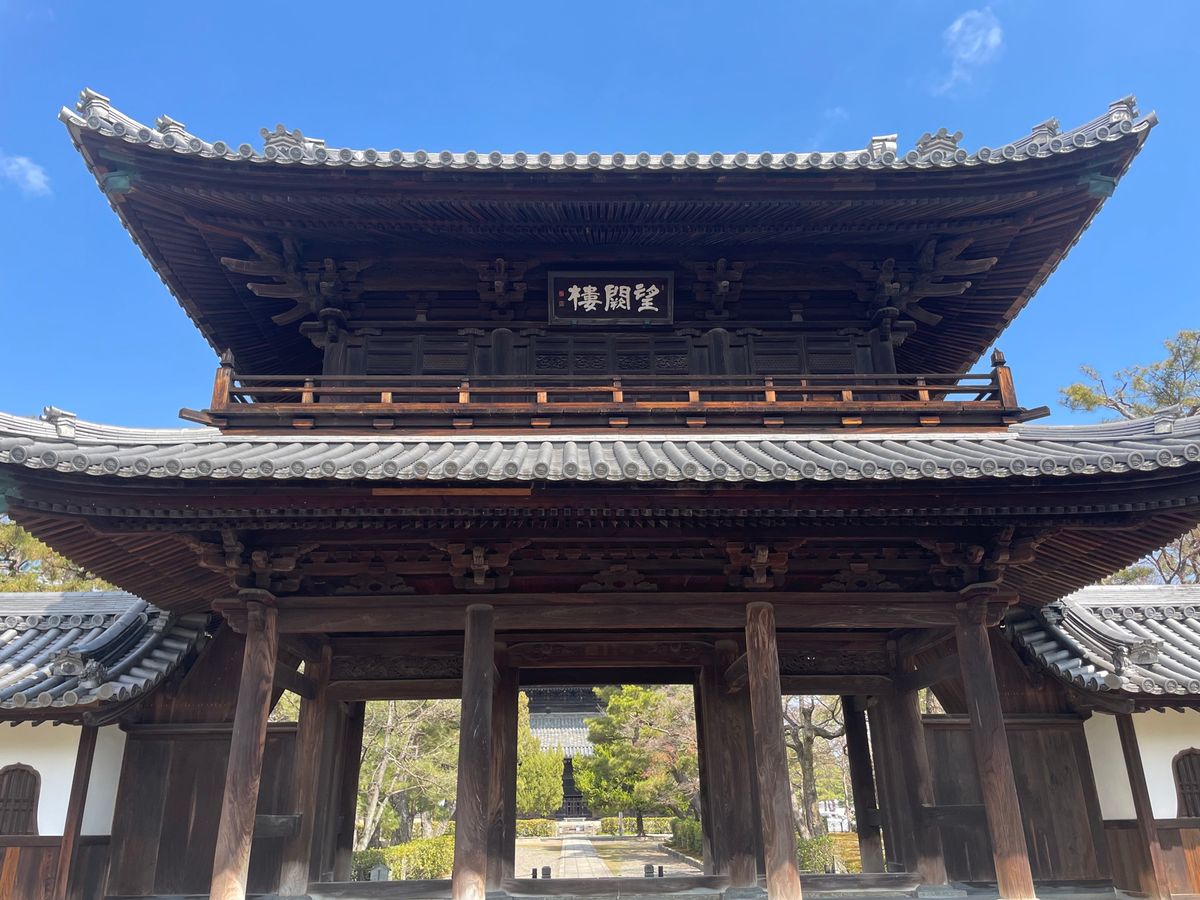 庭園にはあちこちで梅や早咲きの桜が咲いていました。