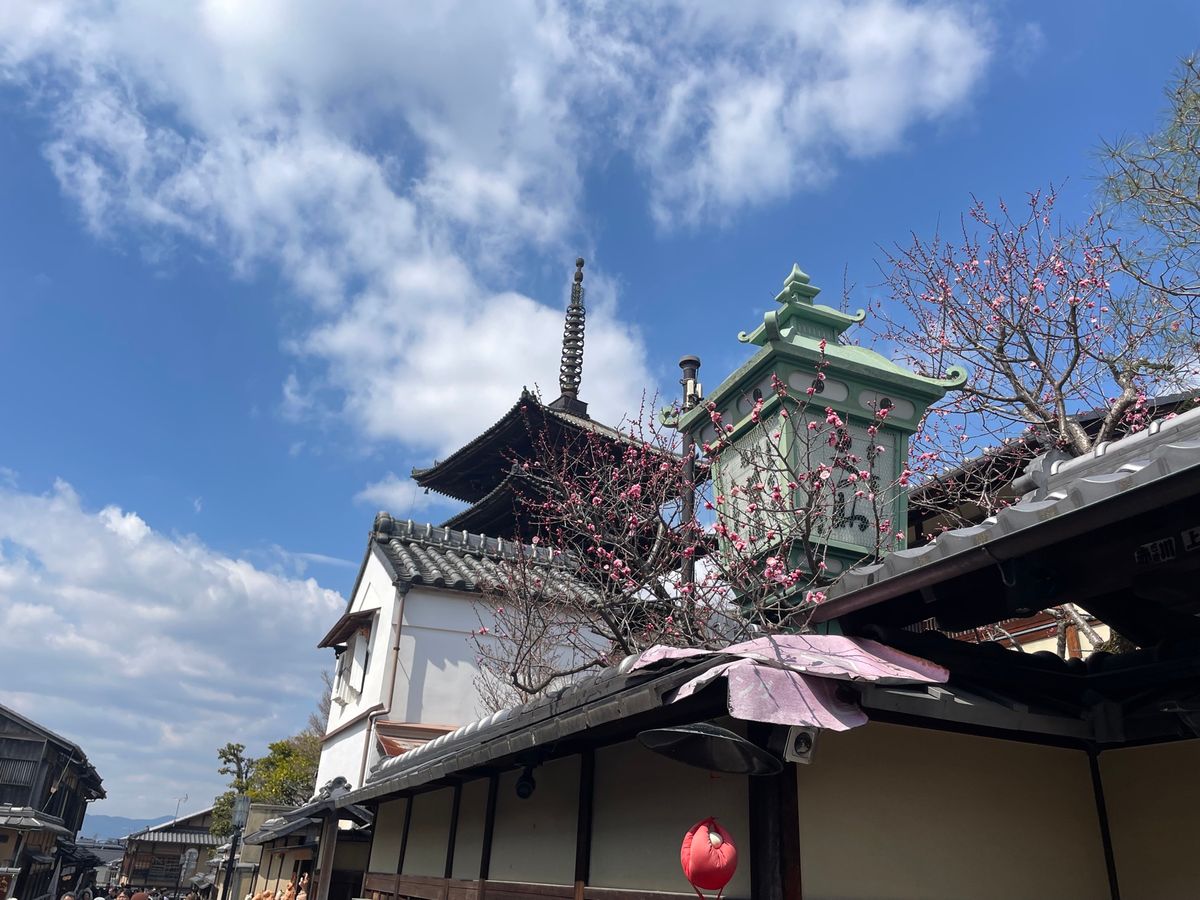 八坂の塔。京都東山のランドマークですね。
