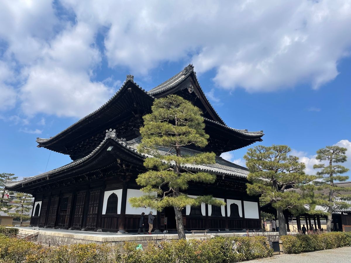建仁寺のお堂にある龍の天井画。廃校になった小学校の体育館を借りて製作された...