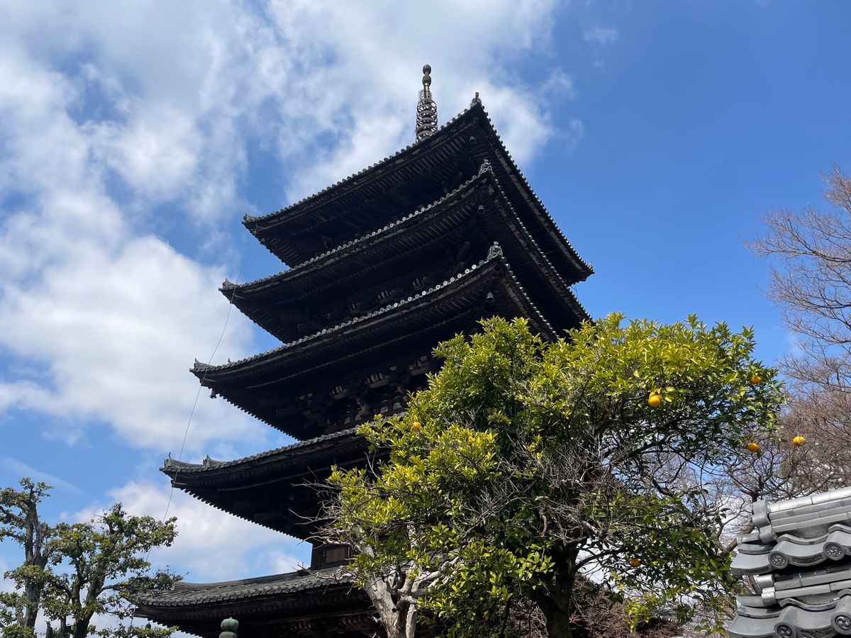 八坂の塔。京都東山のランドマークですね。