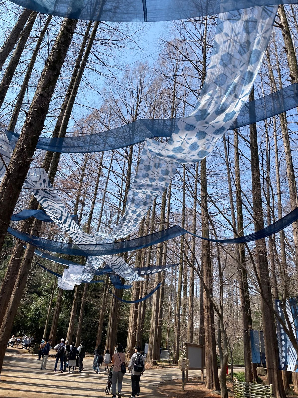 生田緑地
運営が3ヶ所の中で1番盛り上がってた印象
山登りしたかったけど足...