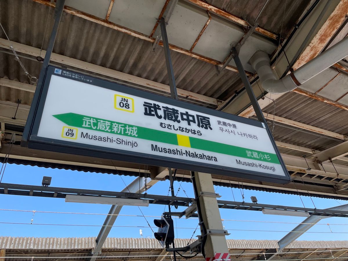 等々力緑地
道路渡るとイベントスペース？みたいになってたけどお腹空きすぎて...