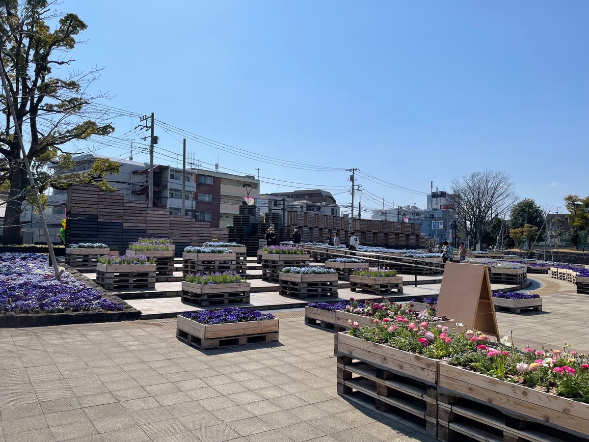 等々力緑地
道路渡るとイベントスペース？みたいになってたけどお腹空きすぎて...