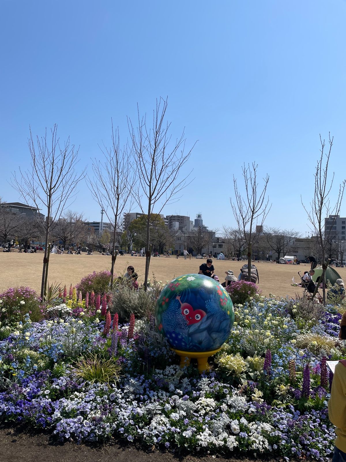 初めは富士見公園
会場も広いし1番お花も多くて綺麗だった