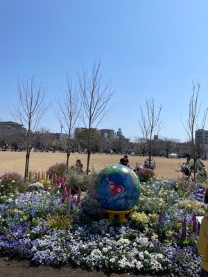 初めは富士見公園
会場も広いし1番お花も多くて綺麗だった