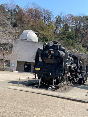 生田緑地
運営が3ヶ所の中で1番盛り上がってた印象
山登りしたかったけど足...