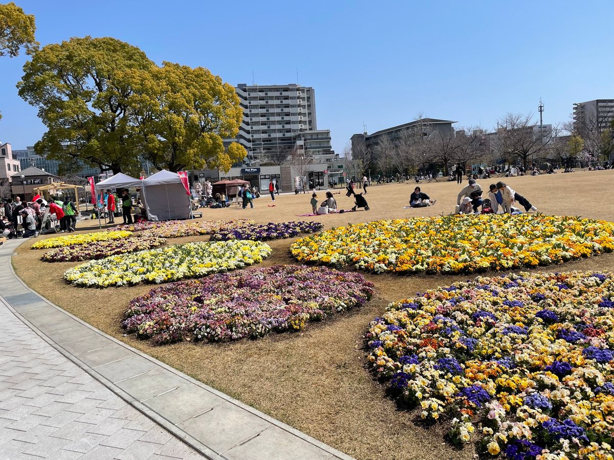 初めは富士見公園
会場も広いし1番お花も多くて綺麗だった