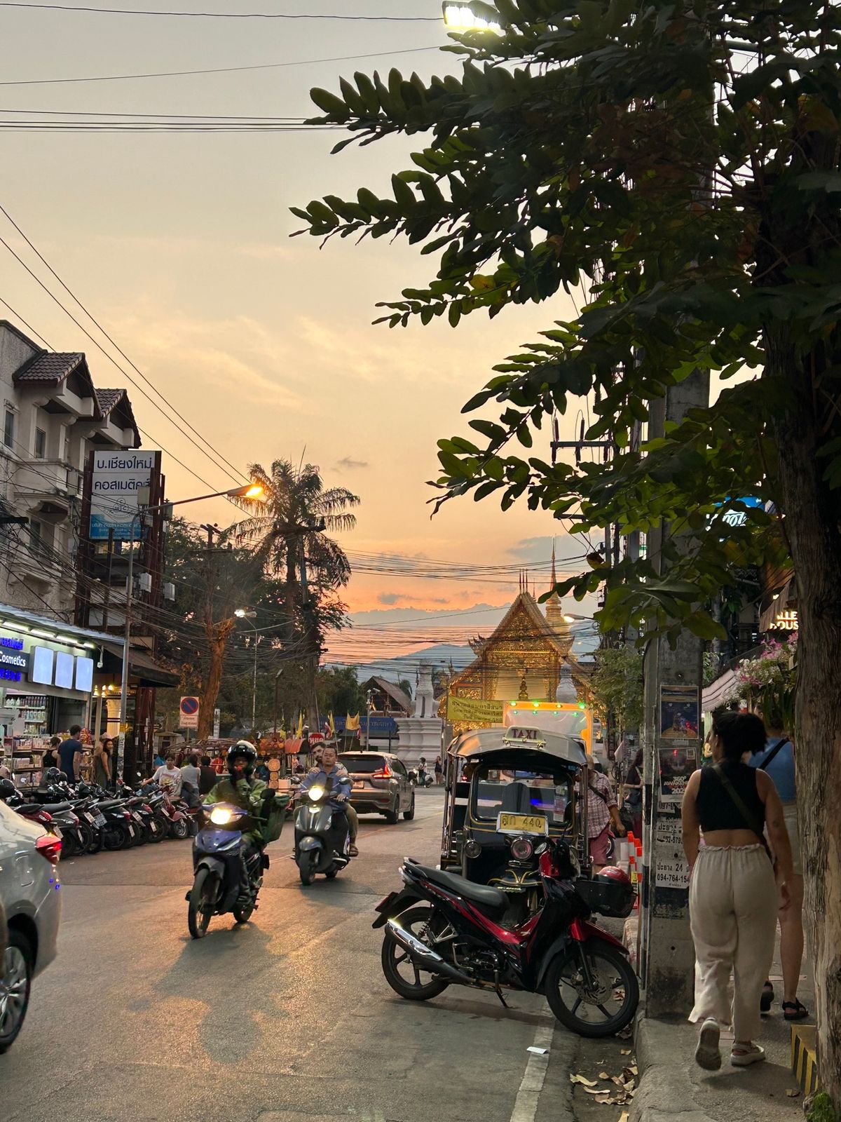 2025年旅の始まりはチェンマイ
今回メンバーは激辛NGなので辛いお料理は...