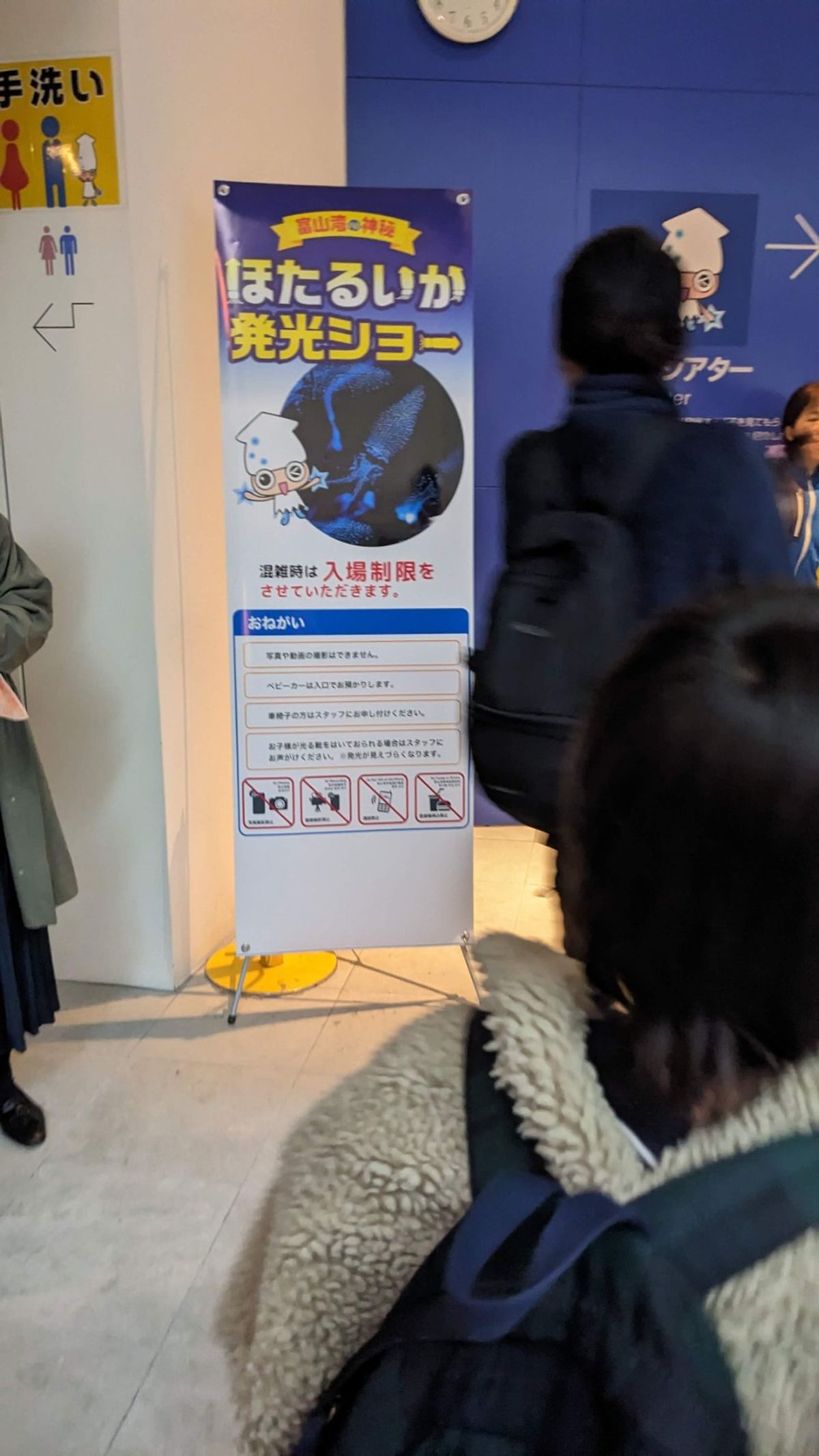 次の日は天候にも恵まれず、朝から雨。
昨晩はホタルイカを見れなかったので、...