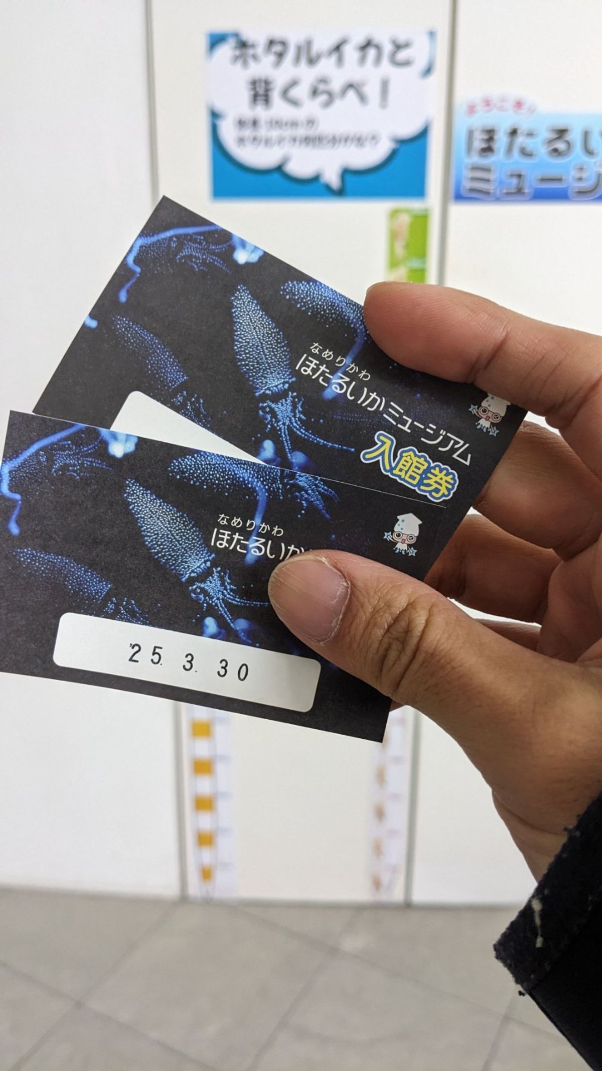 次の日は天候にも恵まれず、朝から雨。
昨晩はホタルイカを見れなかったので、...