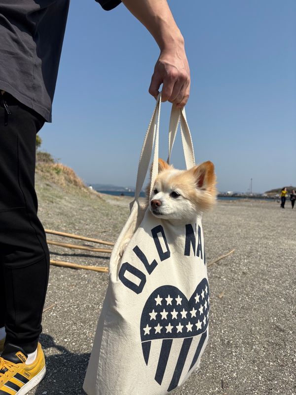 日本・千葉「トレーラーキャンプ」の写真