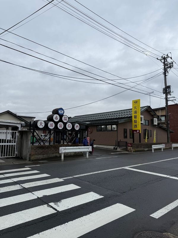 日本・松島「東北車旅行」の写真：大浦葡萄酒

山形は葡萄が取れるのでワイ...