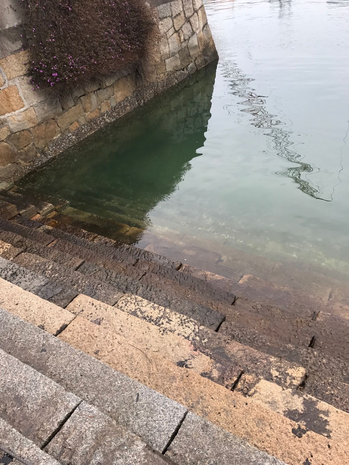 鞆の浦。ポニョの舞台。とっても静かでしっとりして雨で良かったかもしれない。...