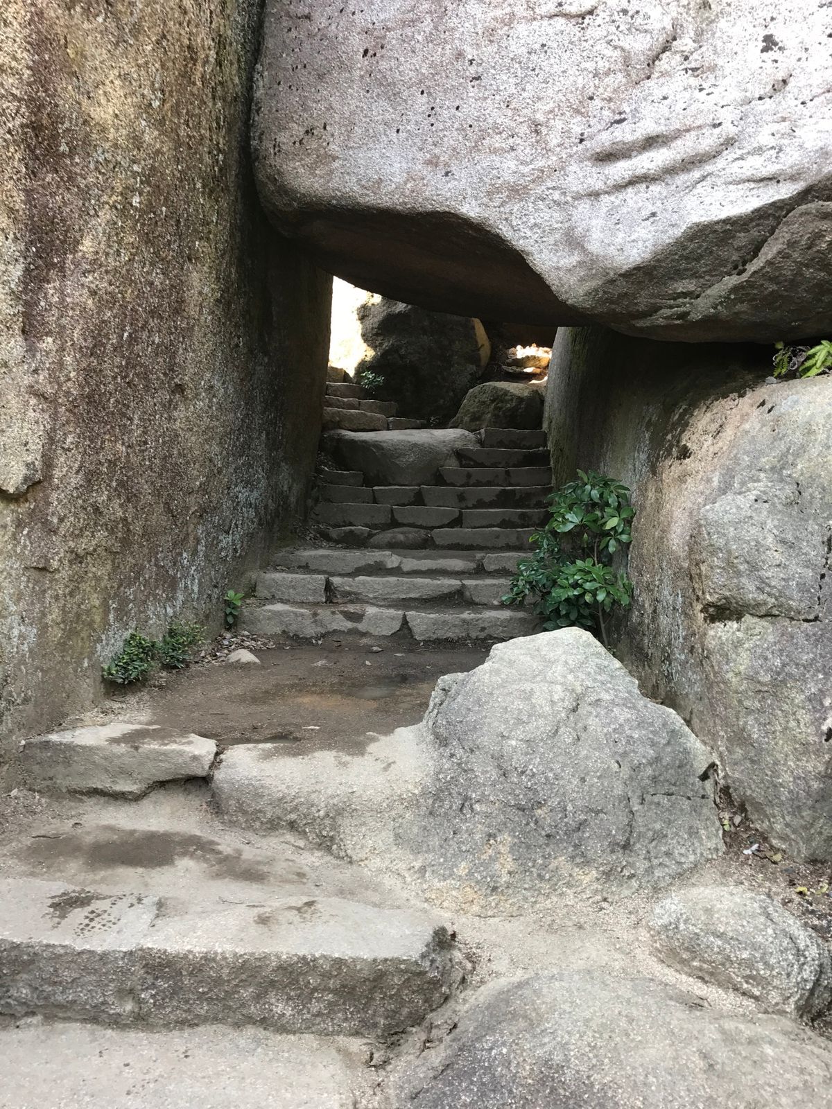 弥山。サンダルで登ったら転んで足がボロボロに…。
霊火堂というところは12...