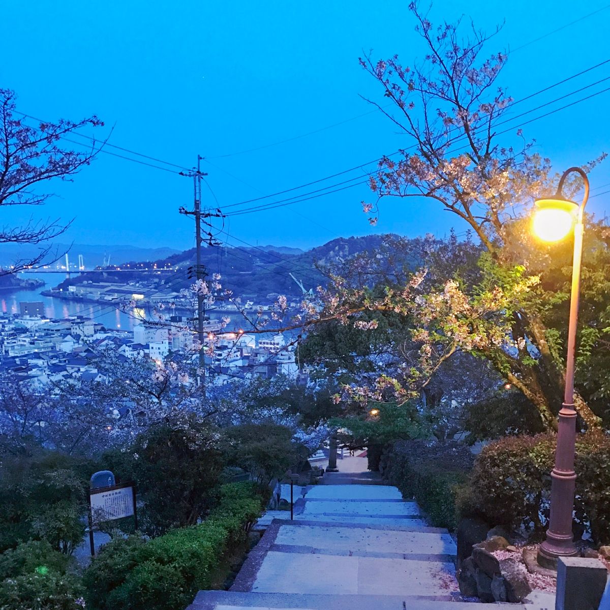 尾道。写真だと伝わりにくいけど、春の夕方の尾道は本当に気持ちよかった。ノス...