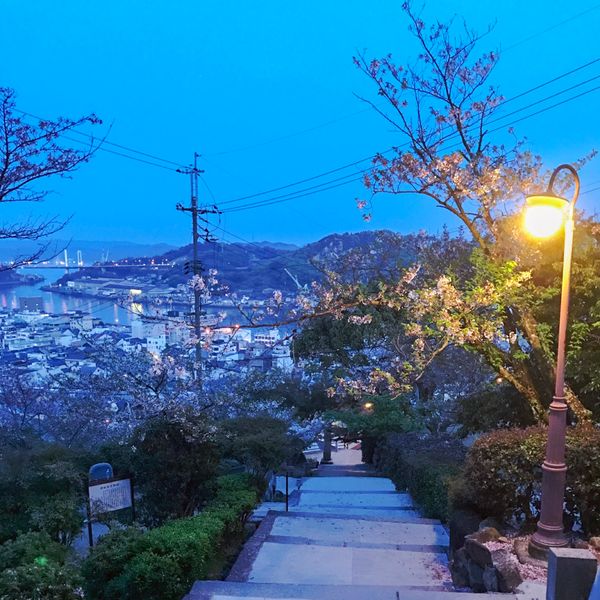 日本・広島県「2017広島(宮島・尾道・鞆の浦)」の写真：尾道。写真だと伝わりにくいけど、春の夕方...