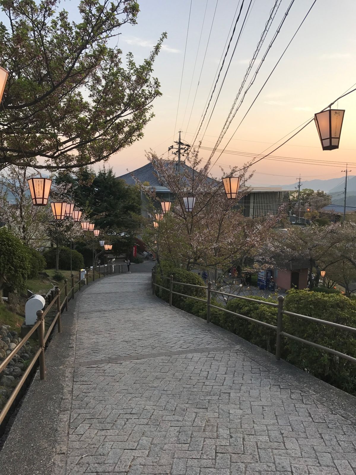 尾道。写真だと伝わりにくいけど、春の夕方の尾道は本当に気持ちよかった。ノス...