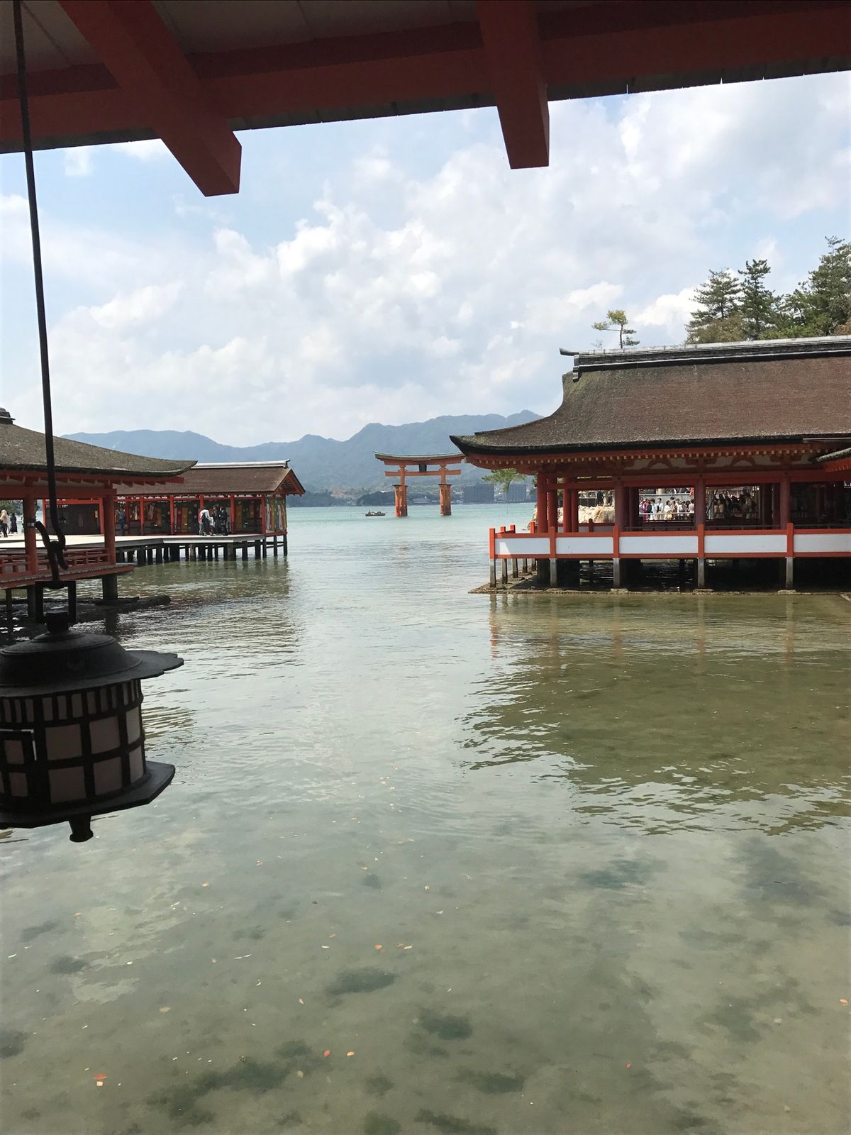 海に浮かぶ厳島神社は壮観。青空に神社の朱色が映えて美しかった。干潮のタイミ...