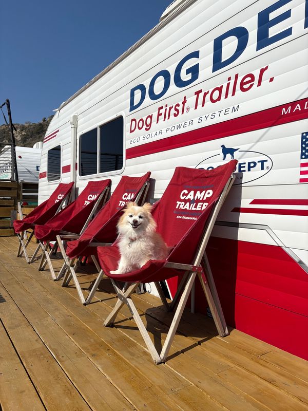 日本・千葉「トレーラーキャンプ」の写真