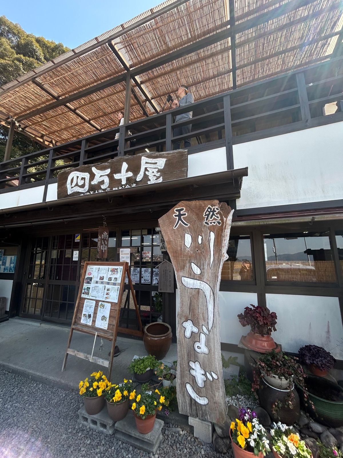 最終日。この日のメインは四万十川の鰻‼️
行った時期にはないですけど、天然...