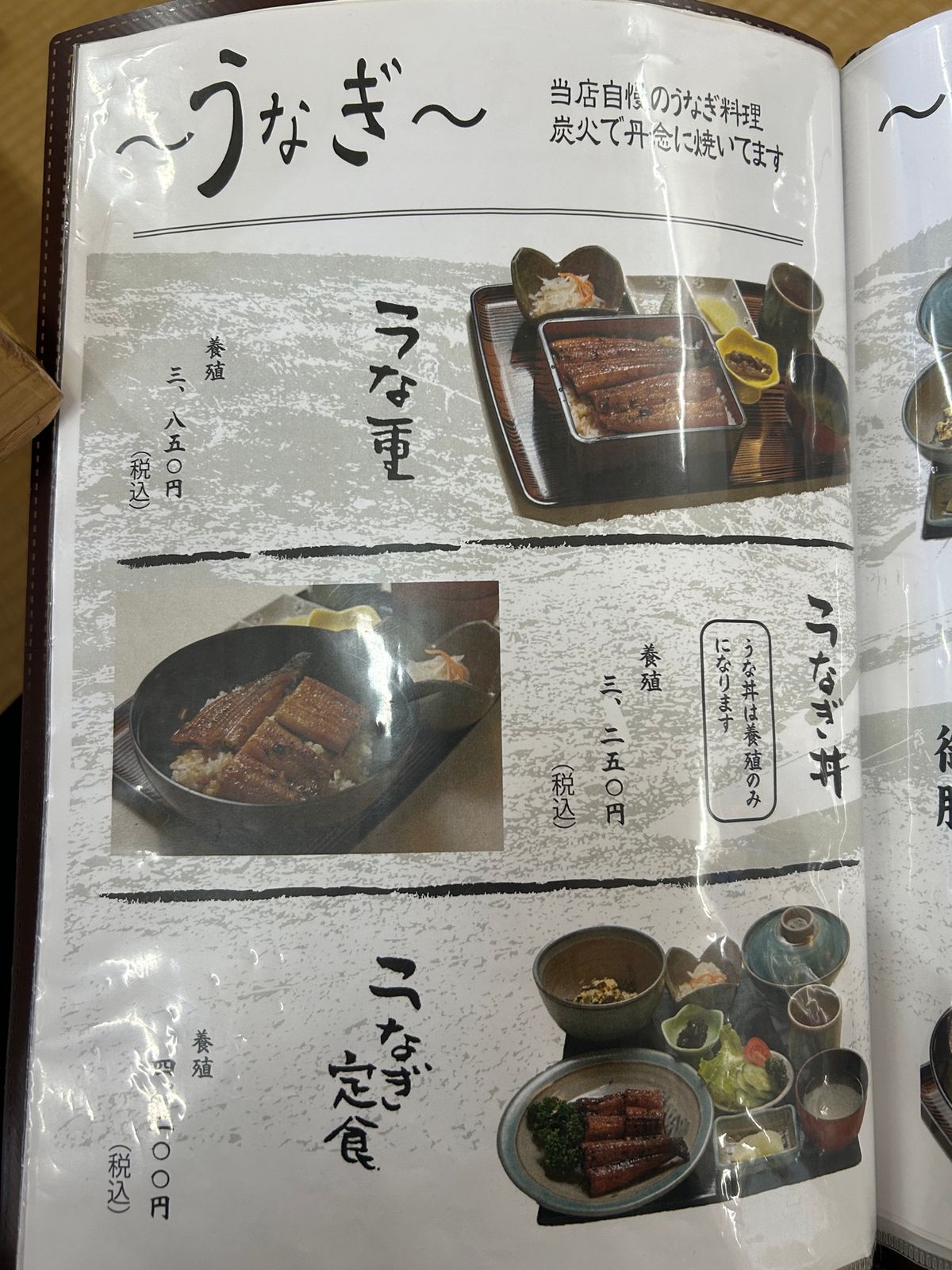 最終日。この日のメインは四万十川の鰻‼️
行った時期にはないですけど、天然...