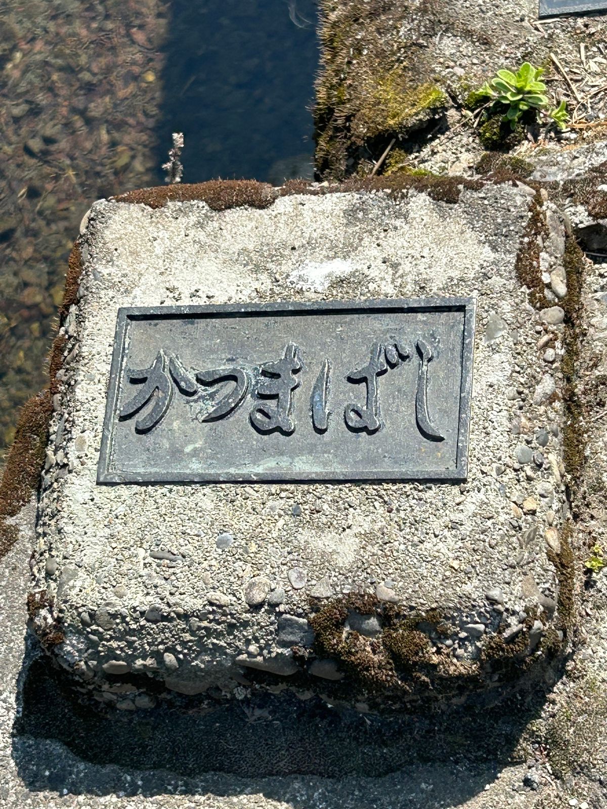 次は『釣りバカ日誌』のロケ地にもなったという勝間沈下橋。
この橋の近くは急...