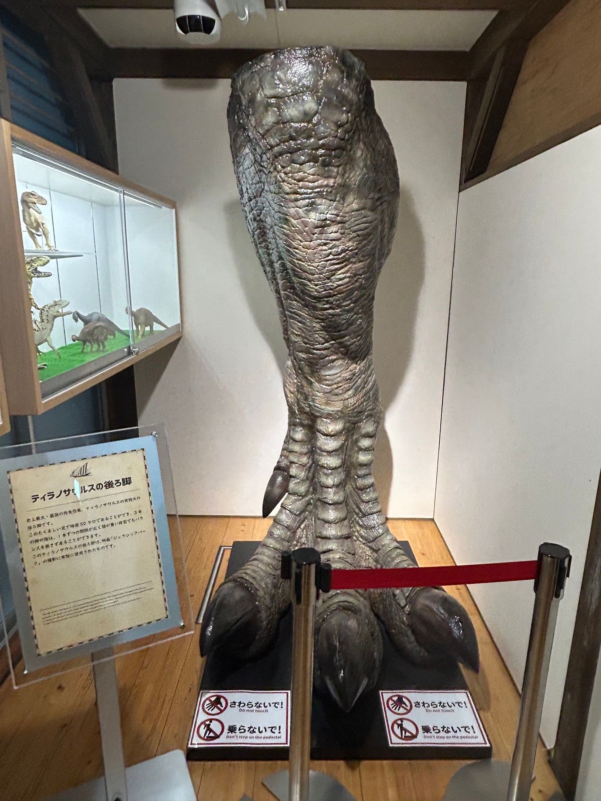 午後のメインは「わざわざ行こうよ」というキャッチコピーの海洋堂ホビー館。
...