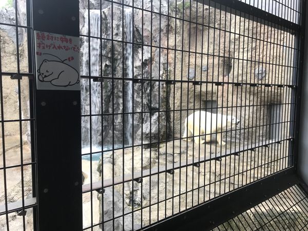 日本・北海道「2017北海道」の写真：旭山動物園。全体的に近い。