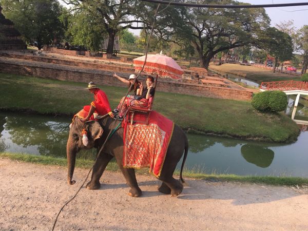 タイ「2018タイ」の写真