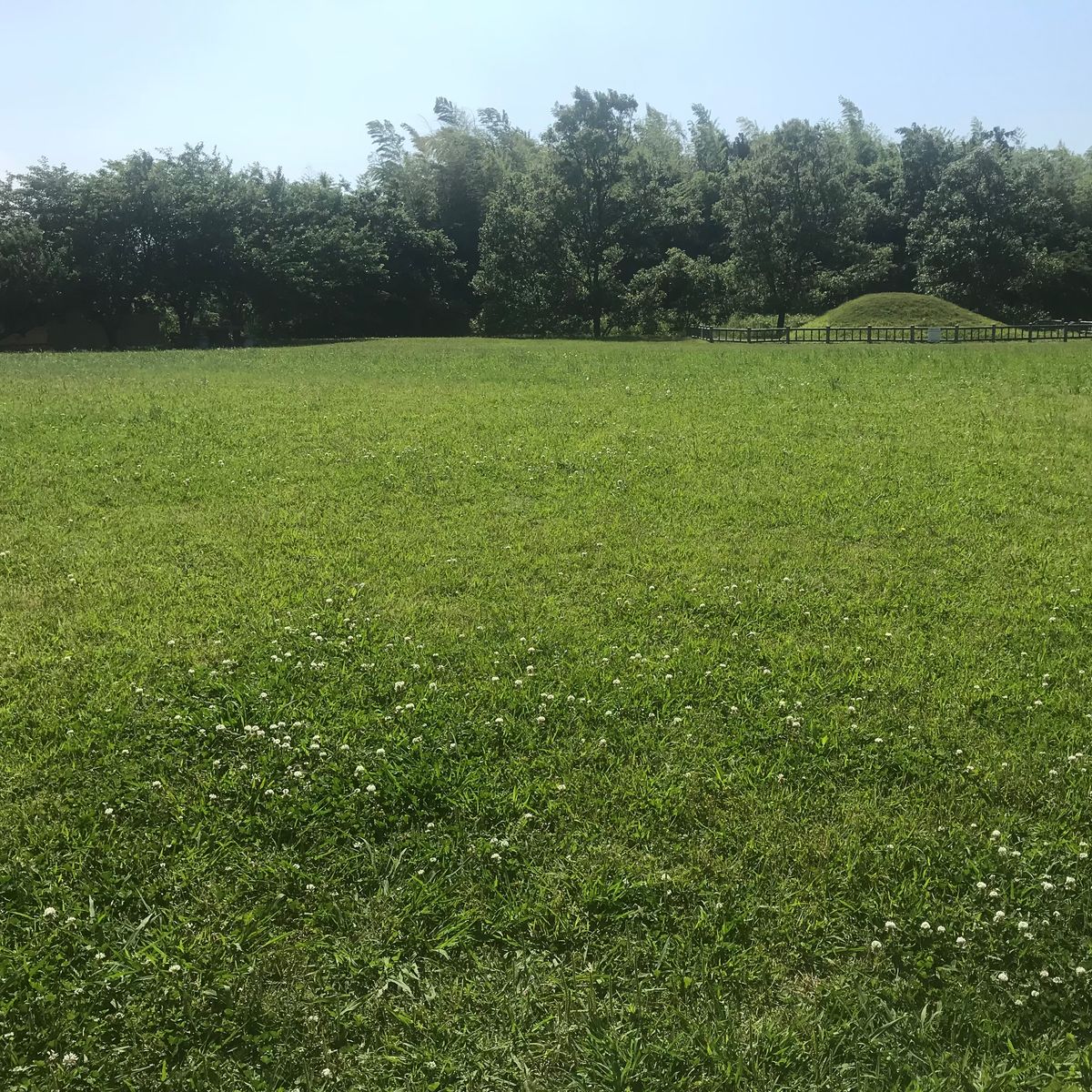 ゲストハウスのライトが竹細工の灯りで可愛かった。地方感のある日常「バリ安」...