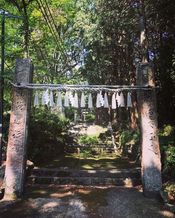 日本・福岡県「2018福岡」の写真：神社巡り