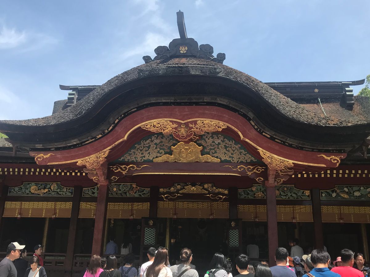 神社巡り。コケが長い歴史と神秘的な雰囲気を出しててよかった。