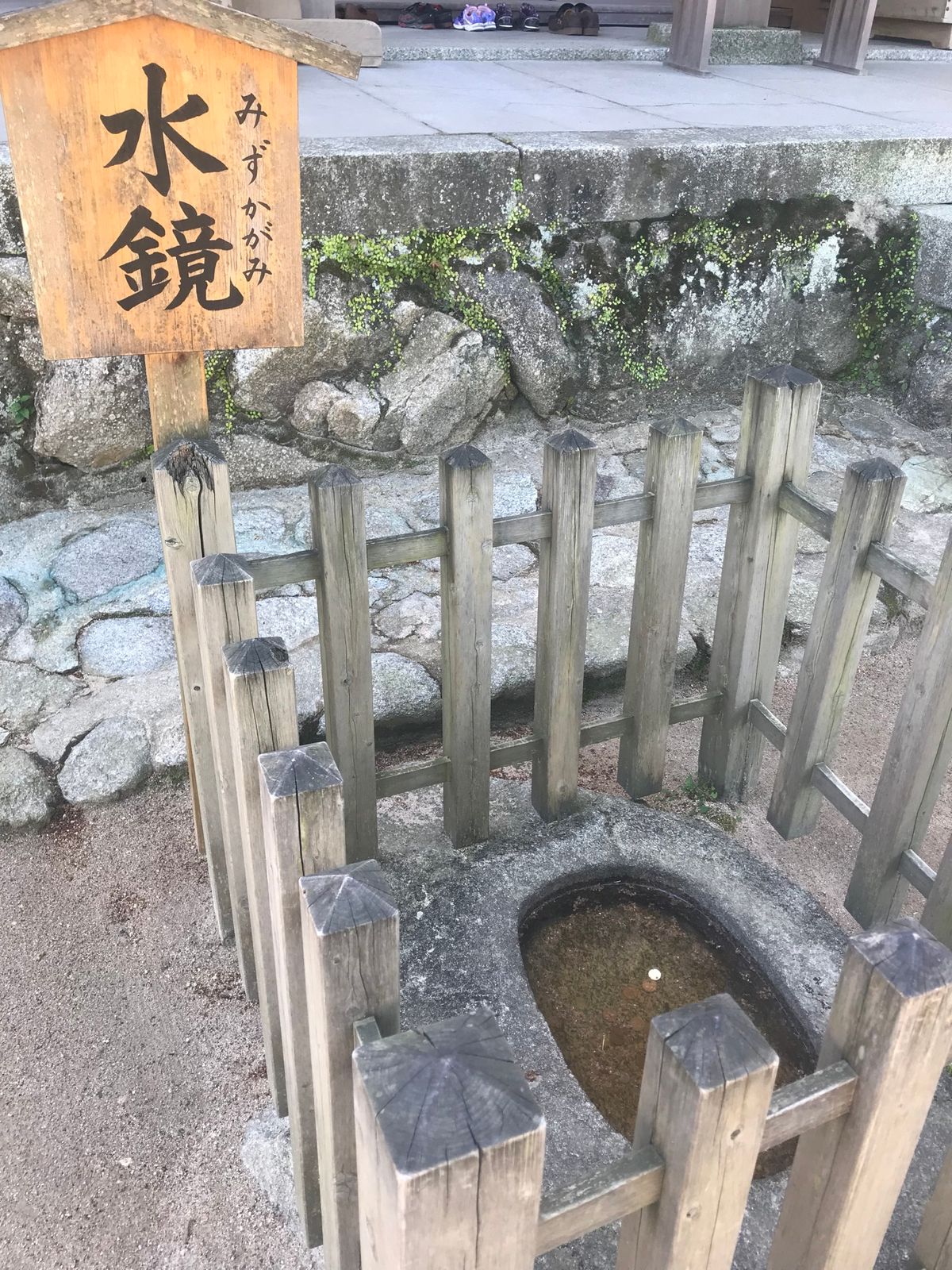 神社巡り。コケが長い歴史と神秘的な雰囲気を出しててよかった。
