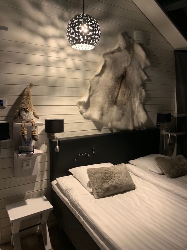 エストニア「2018フィンランド・エストニア」の写真：念願のガラスイグルーホテルがとっても可愛...