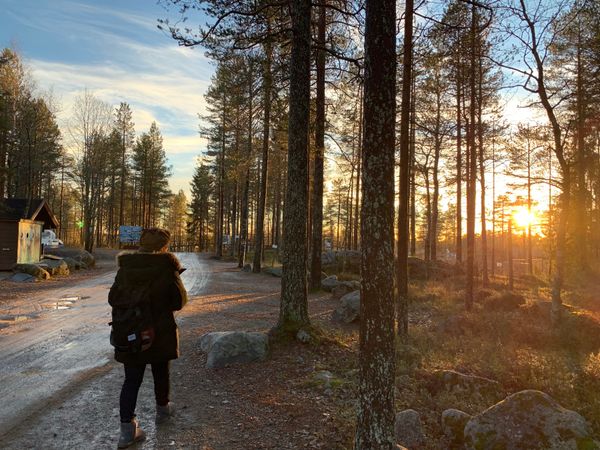 エストニア「2018フィンランド・エストニア」の写真：とにかく広くて自然体な動物園。トナカイが...