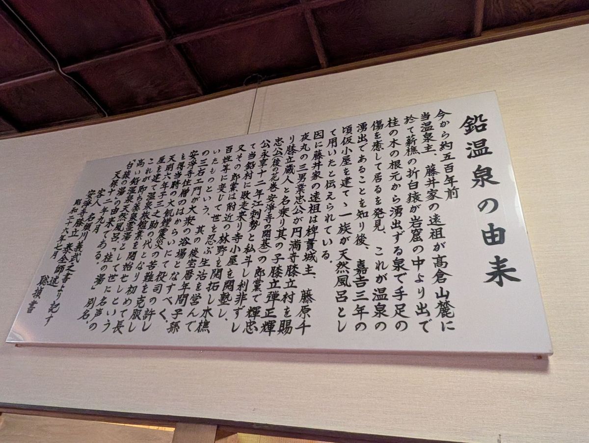 2日目の宿は鉛温泉藤三旅館@花巻
日本一深い自噴温泉は風情もあるし、お湯も...