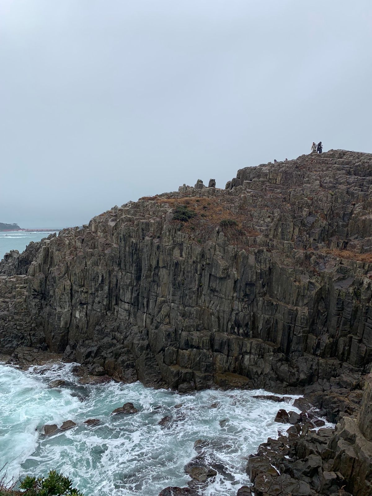 東尋坊はめちゃくちゃ火曜サスペンス劇場でした。
越前松島水族館はアシカにさ...