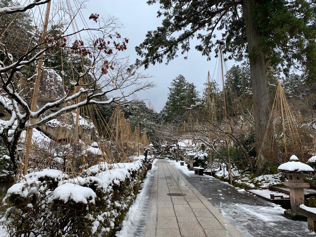 兼六園素敵でした。雪吊りも石川ならでは。