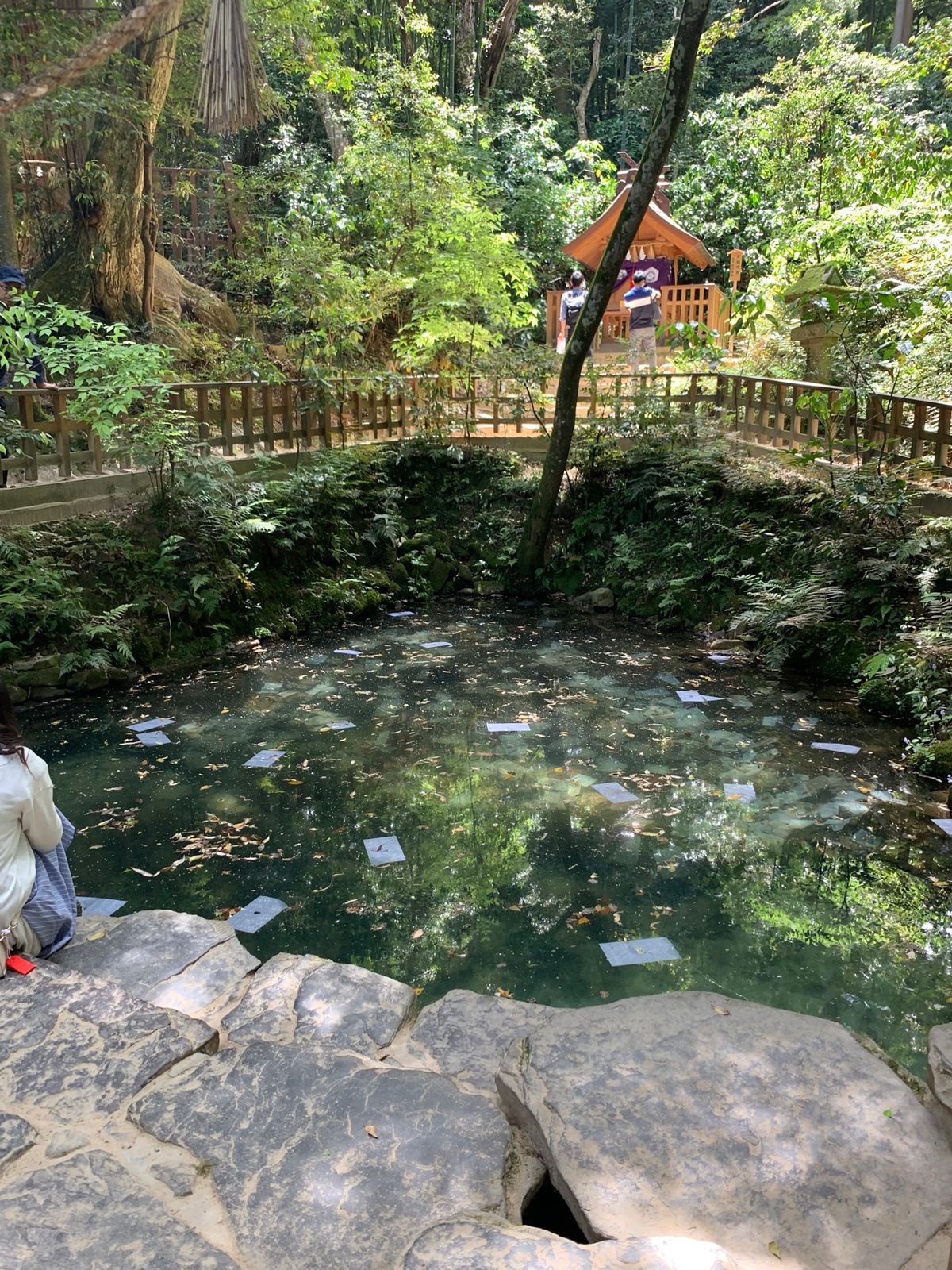 八重垣神社は縁結びのパワースポット。
鏡の池での占い。隠れハート。