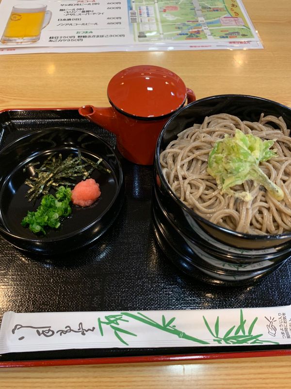 日本・島根県「2019島根(出雲)」の写真：出雲割子そば。一段目を食べたら余った汁を...
