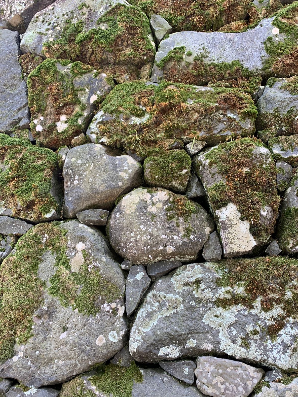 八重垣神社は縁結びのパワースポット。
鏡の池での占い。隠れハート。