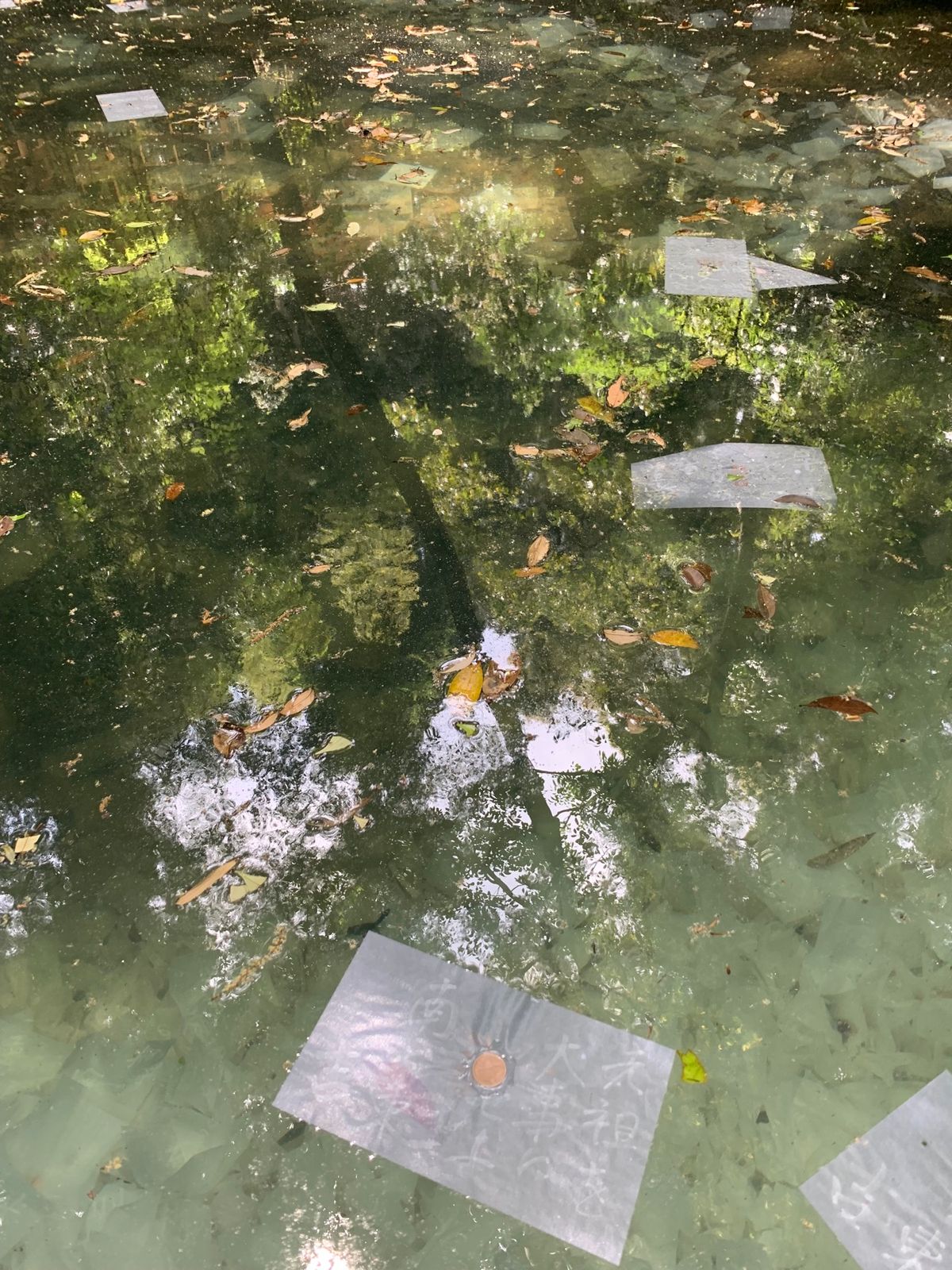 八重垣神社は縁結びのパワースポット。
鏡の池での占い。隠れハート。