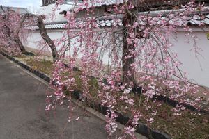 勧修寺