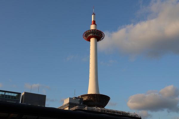 日本・京都府「2025年春・そうだ京都にお花見に行こ！」の写真：京都のシンボル、京都タワー
