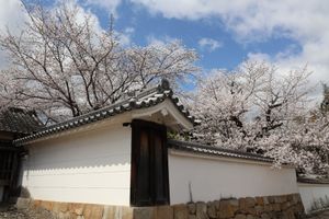 勧修寺