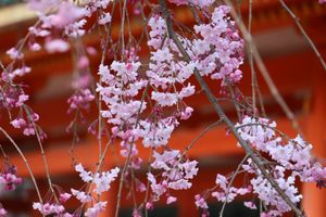 平安神宮