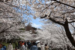 蹴上インクライン