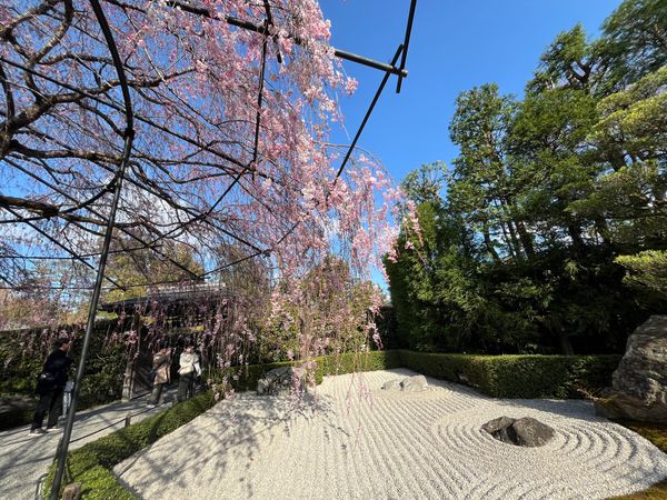 日本「京都旅行」の写真
