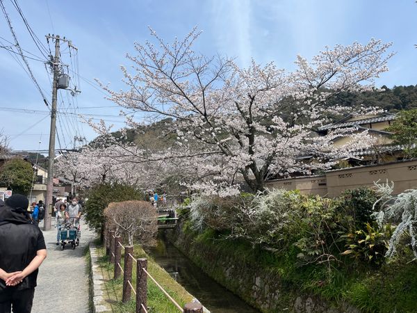 日本「京都旅行」の写真