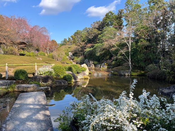 日本「京都旅行」の写真